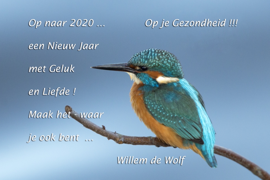 Beste Wensen ! - Vogels - IJsvogel