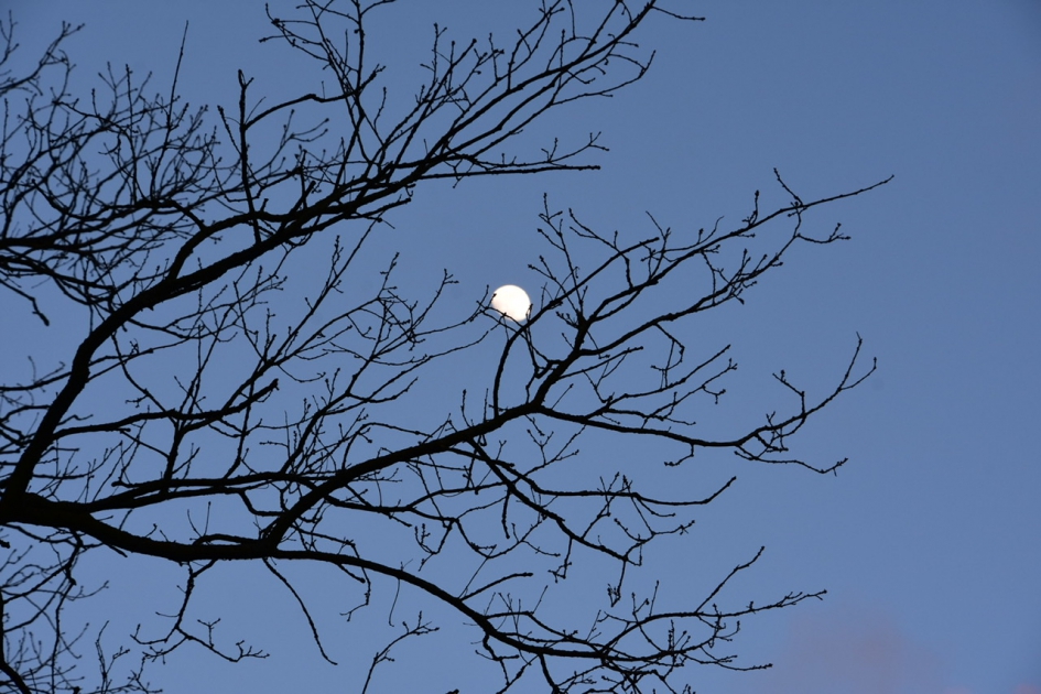 De maan - Weer en landschap - 