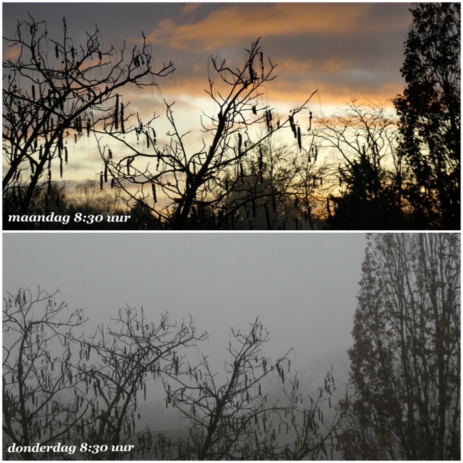 Kleine wereld vandaag! - Weer en landschap - 