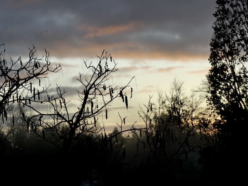 Half negen - Weer en landschap - 