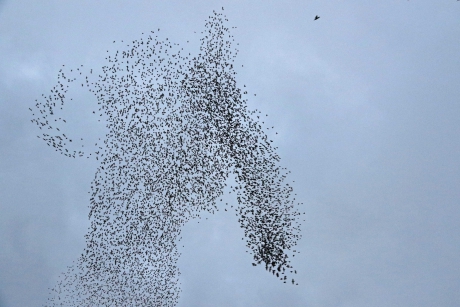 Laat je fantasie maar los..