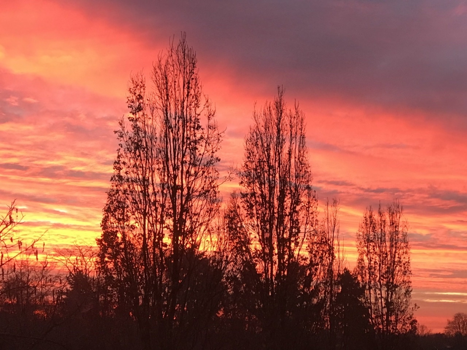 Morgenrood - Weer en landschap - 