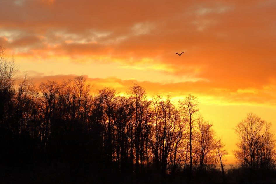 ondergaande zon - Weer en landschap - 