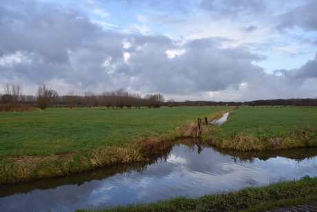 Polder in Langbroek