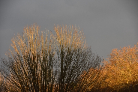 Vreemd lichtspel