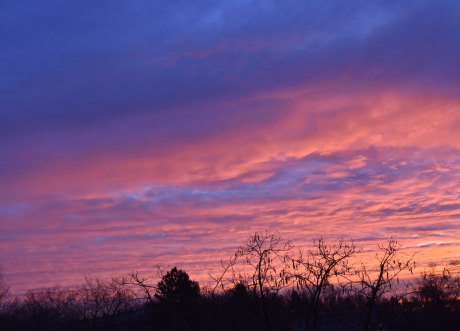 Wat was het mooi vanmorgen ....