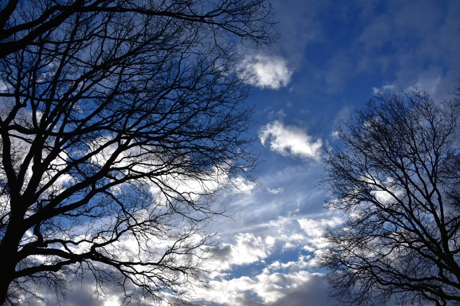 Wolken - Weer en landschap - 