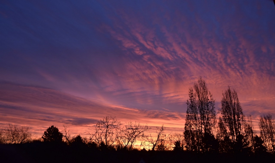 8:30 uur - Weer en landschap - 