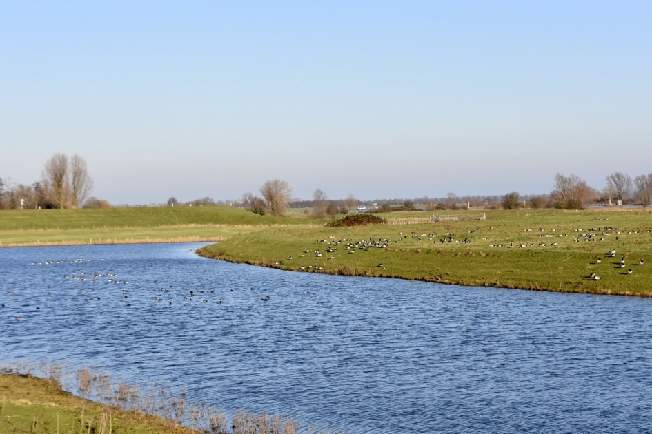 Watergebied bij de Spoorbrug - Weer en landschap - 