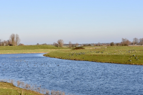 Watergebied bij de Spoorbrug