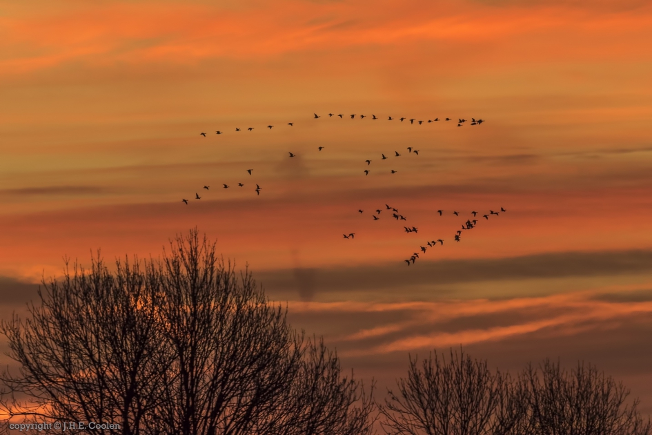 Deze morgen - Weer en landschap - 