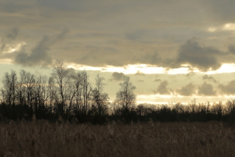 eindelijk een streepje licht