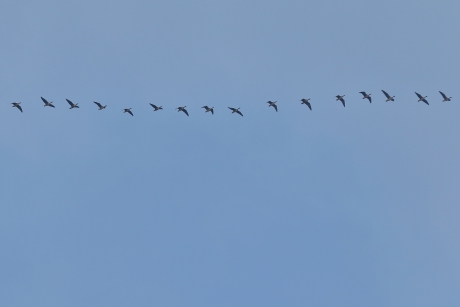 geen vliegtuigstreep.....