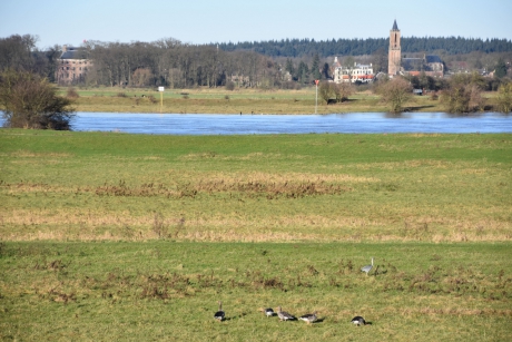 Rhenen aan de Nederrijn