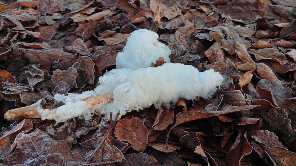 IJshaar - Weer en landschap - IJshaar
