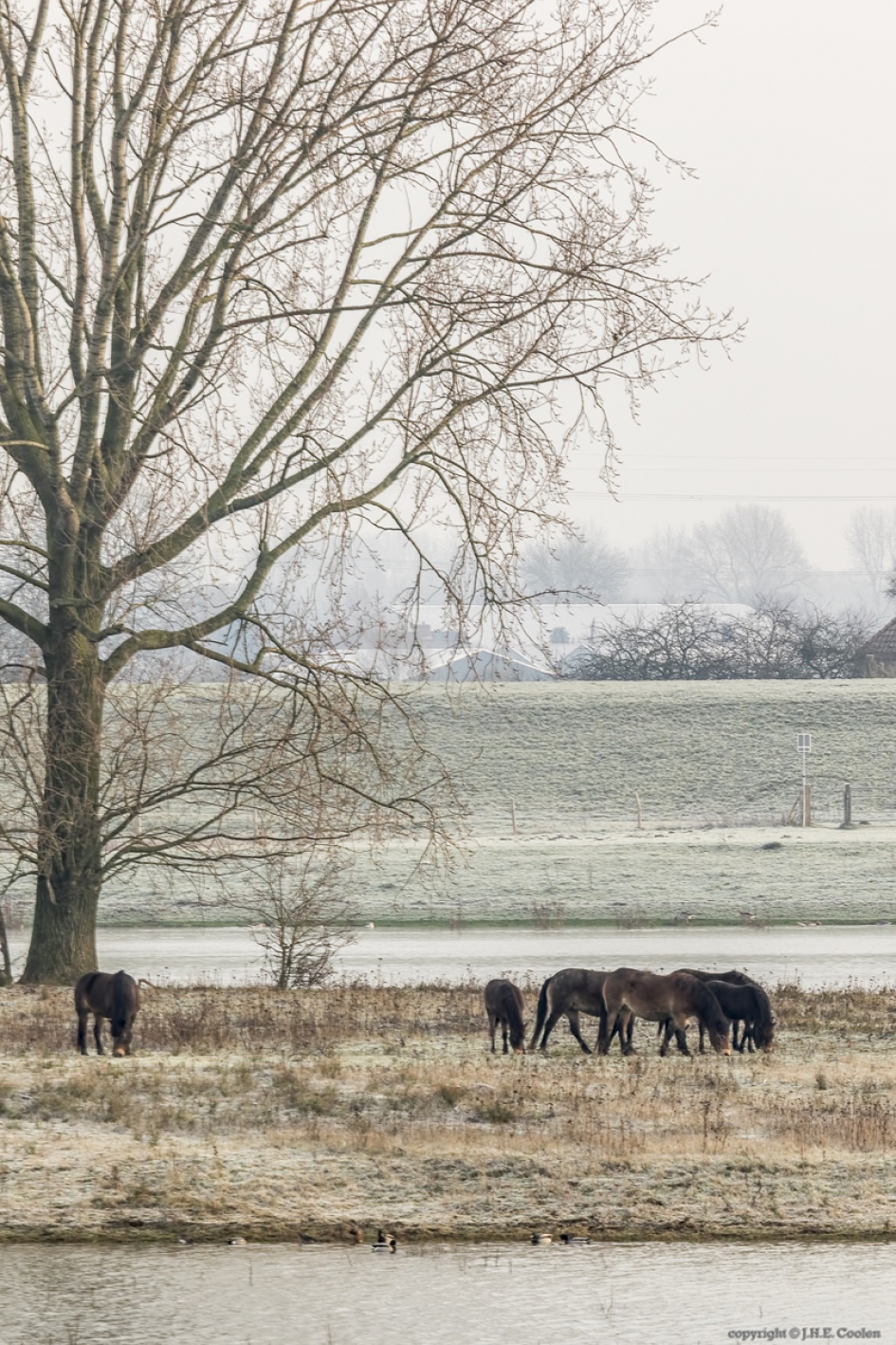 Keent-noord - Weer en landschap - 