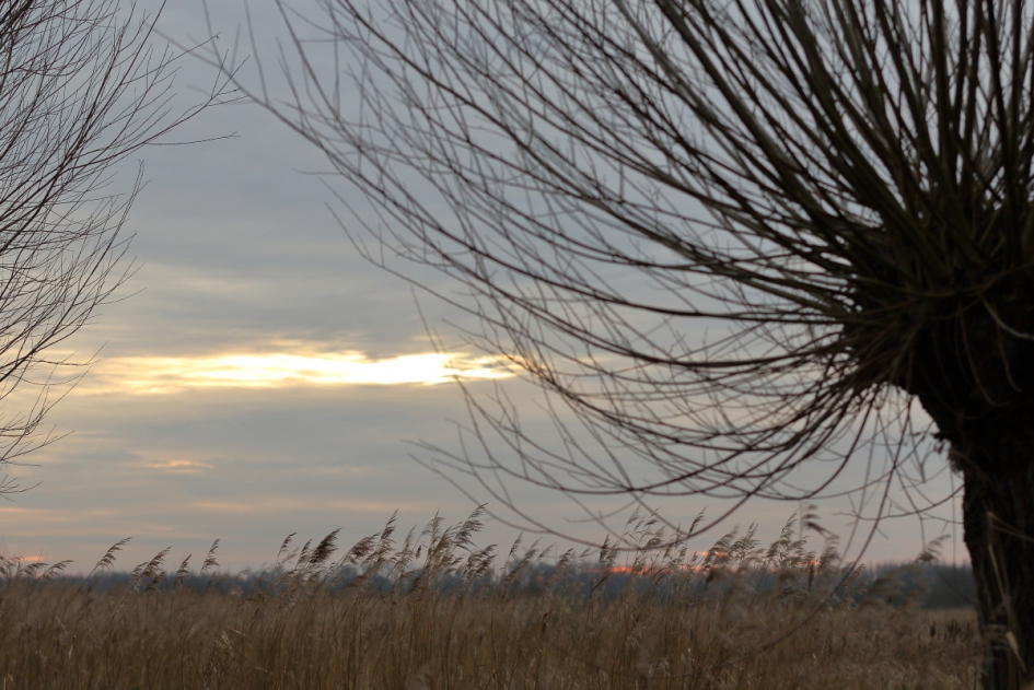 landschap - Weer en landschap - 