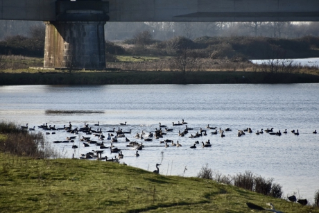 Langs de Veerweg