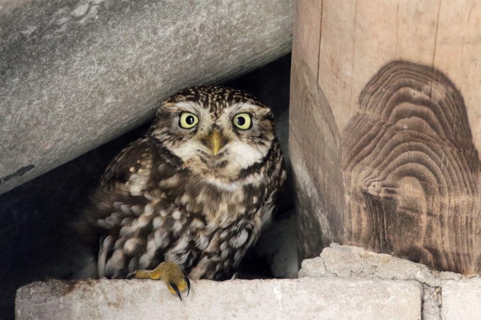 Mooi plekje.. - Vogels - 