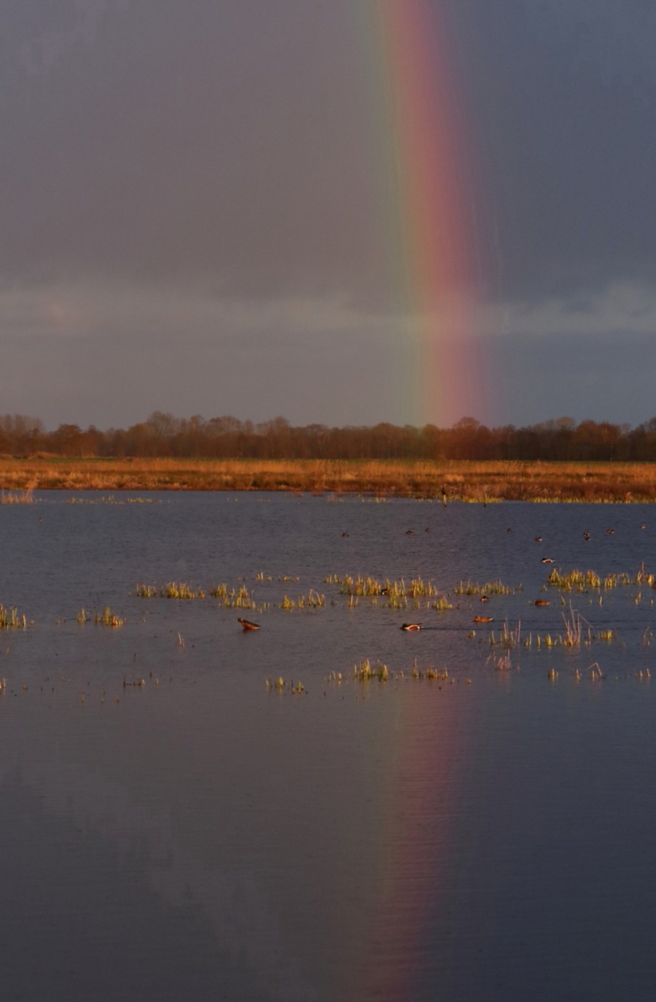 regenboog - Weer en landschap - 