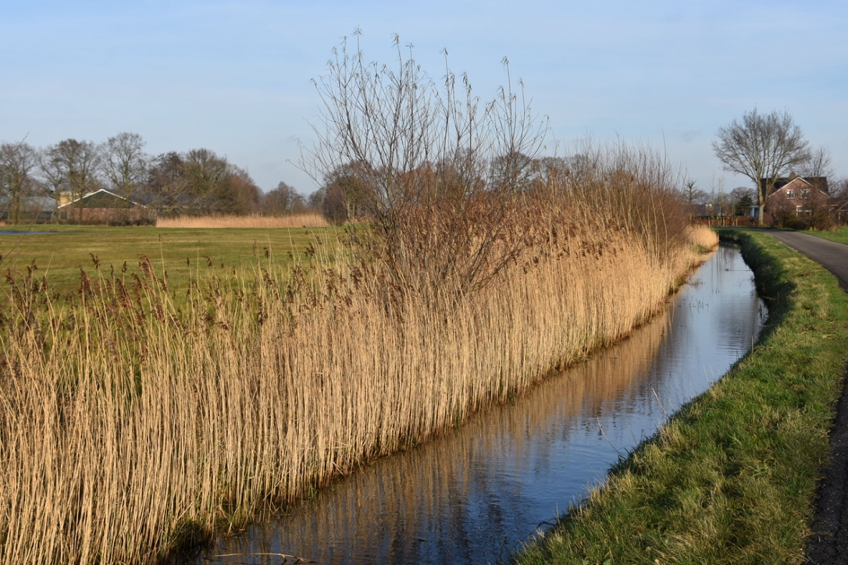 Rietrand - Weer en landschap - 