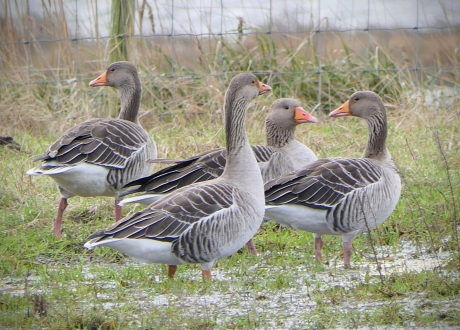 Welke kant moeten we nu op??