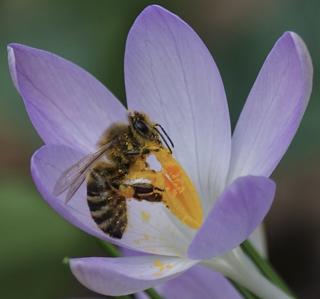 Bij de eerste warme zonnestralen