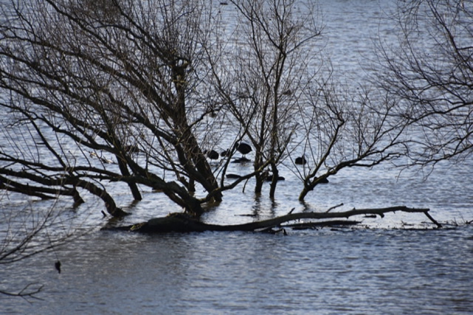Hoog water - Weer en landschap - 