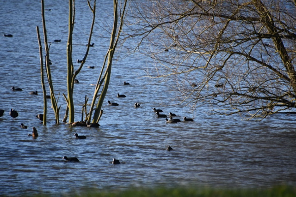 Hoog water - Weer en landschap - 