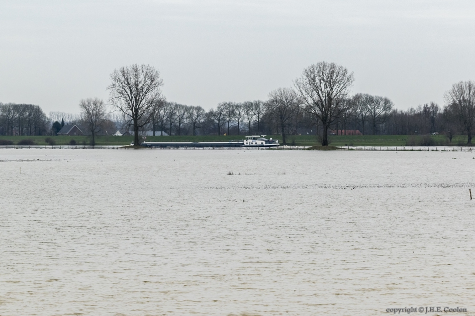 Hoogwater Maas - Weer en landschap - Maas