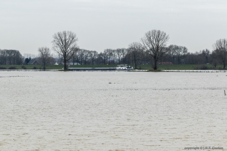 Hoogwater Maas