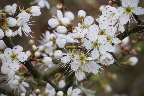 In de bloemetjes gezet.