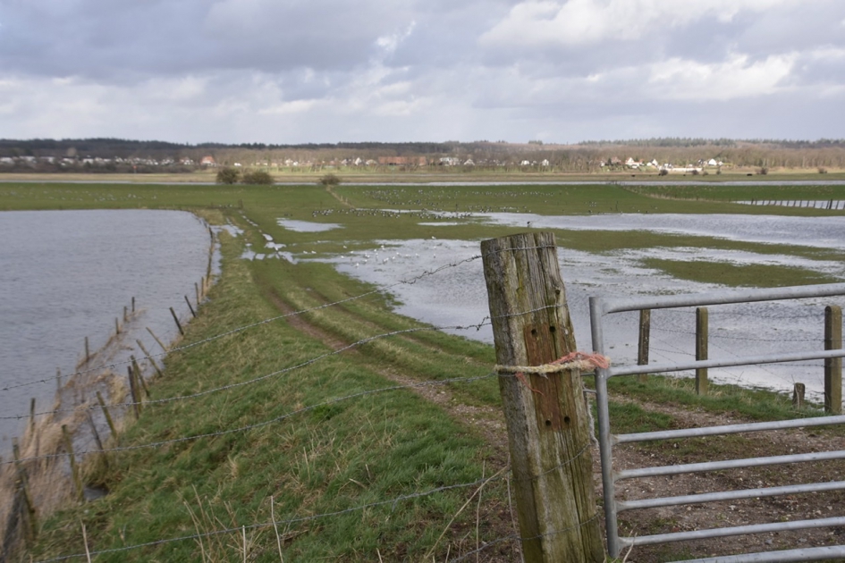 Nederrijn - Weer en landschap - 