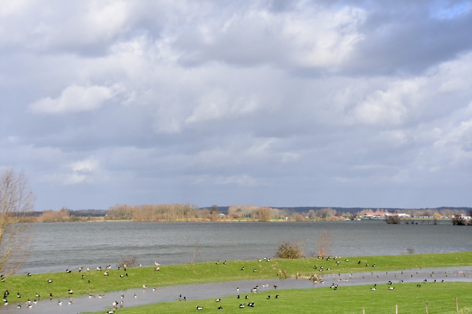 Nederrijn - Weer en landschap - 