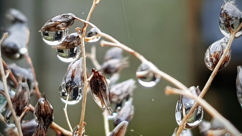 Regen........ - Weer en landschap - 