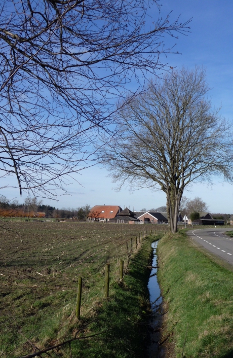 Renswoude