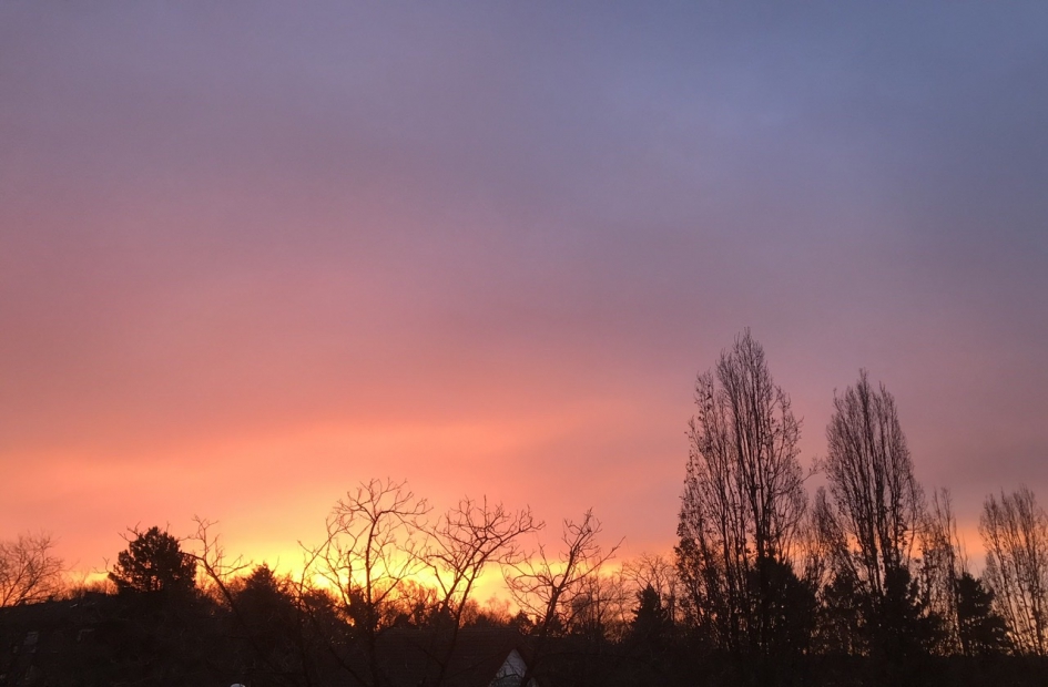 Vanmorgen om 7:45 uur - Weer en landschap - 