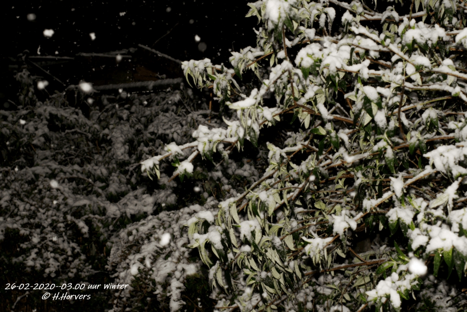 Winter om 03.00uur op 26-02-2020 - Weer en landschap - Winter