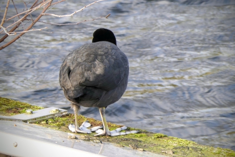 Zal ik er nou wel of niet ingaan....?