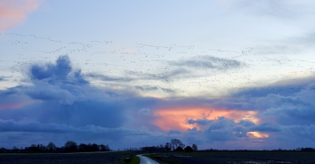 Ganzenwolk na Ganzenwolk 2