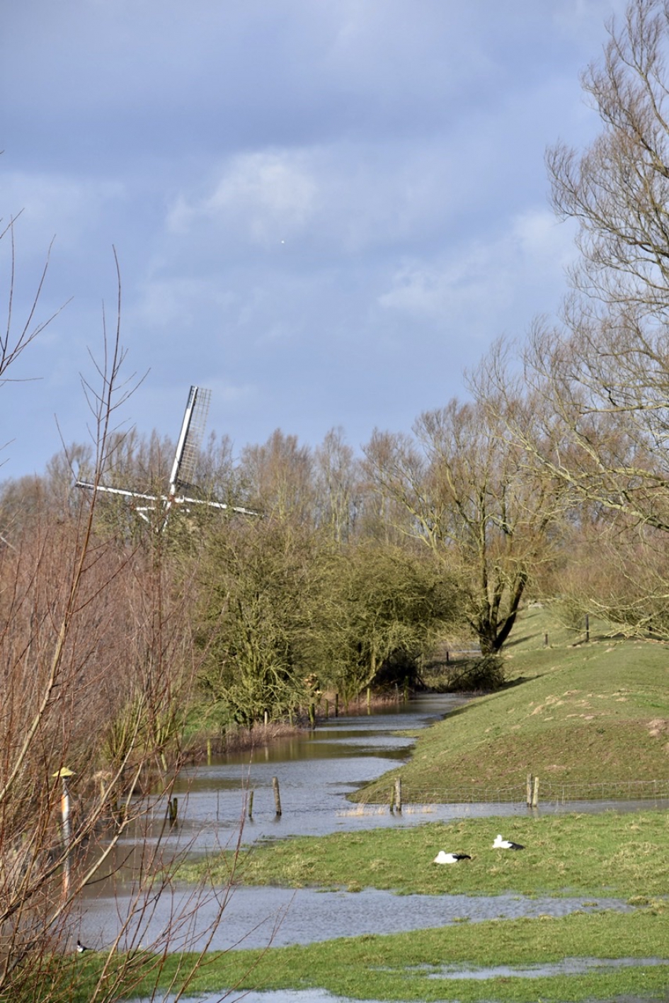 Maurik - Weer en landschap - 