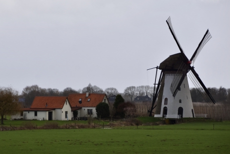 Molen