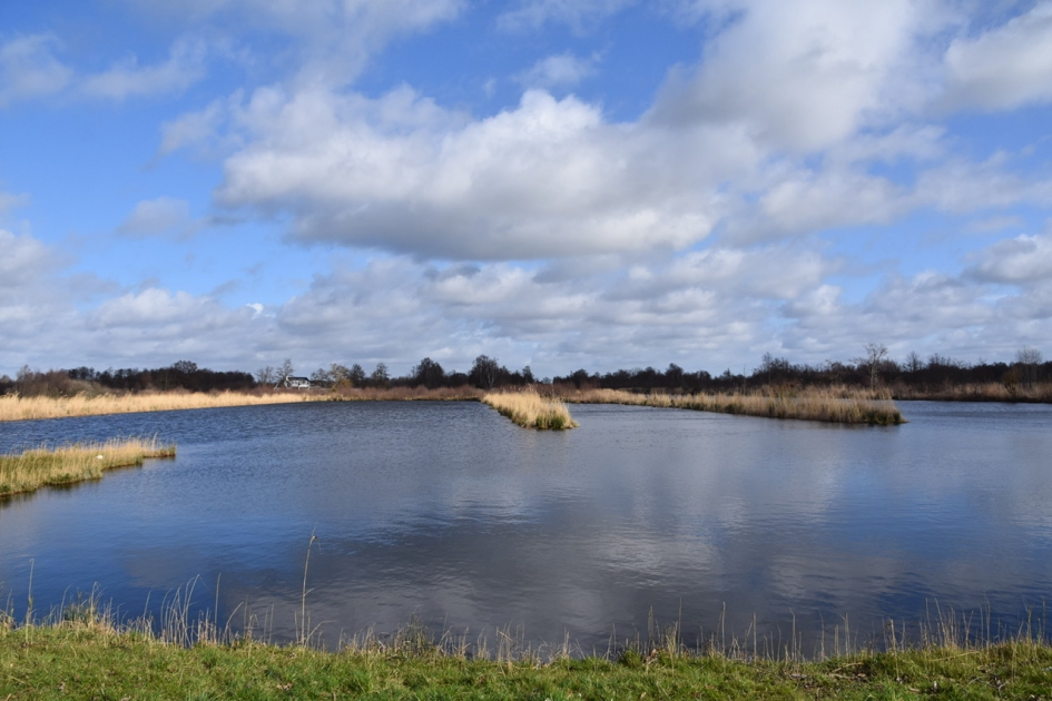 Molenpolder - Weer en landschap - 