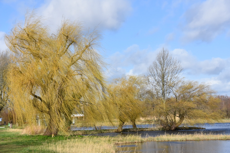 Molenpolder - Weer en landschap - 