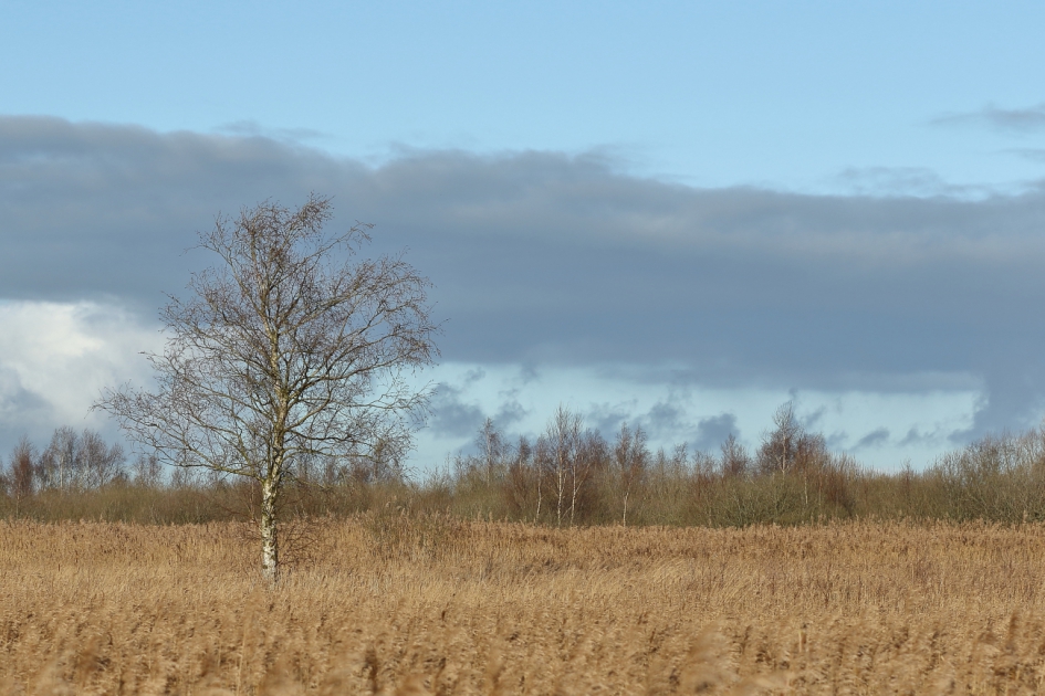 oeps, donkere wolken - Weer en landschap - 