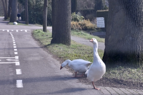 Op de weg...