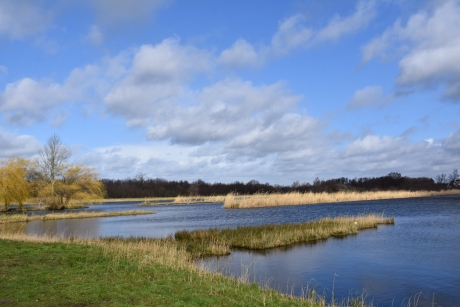 Petgaten en legakkers