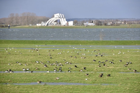 Stuw en sluizencomplex Amerongen
