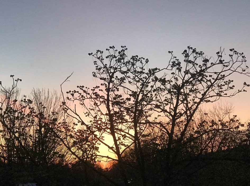 6:30 uur - Weer en landschap - 