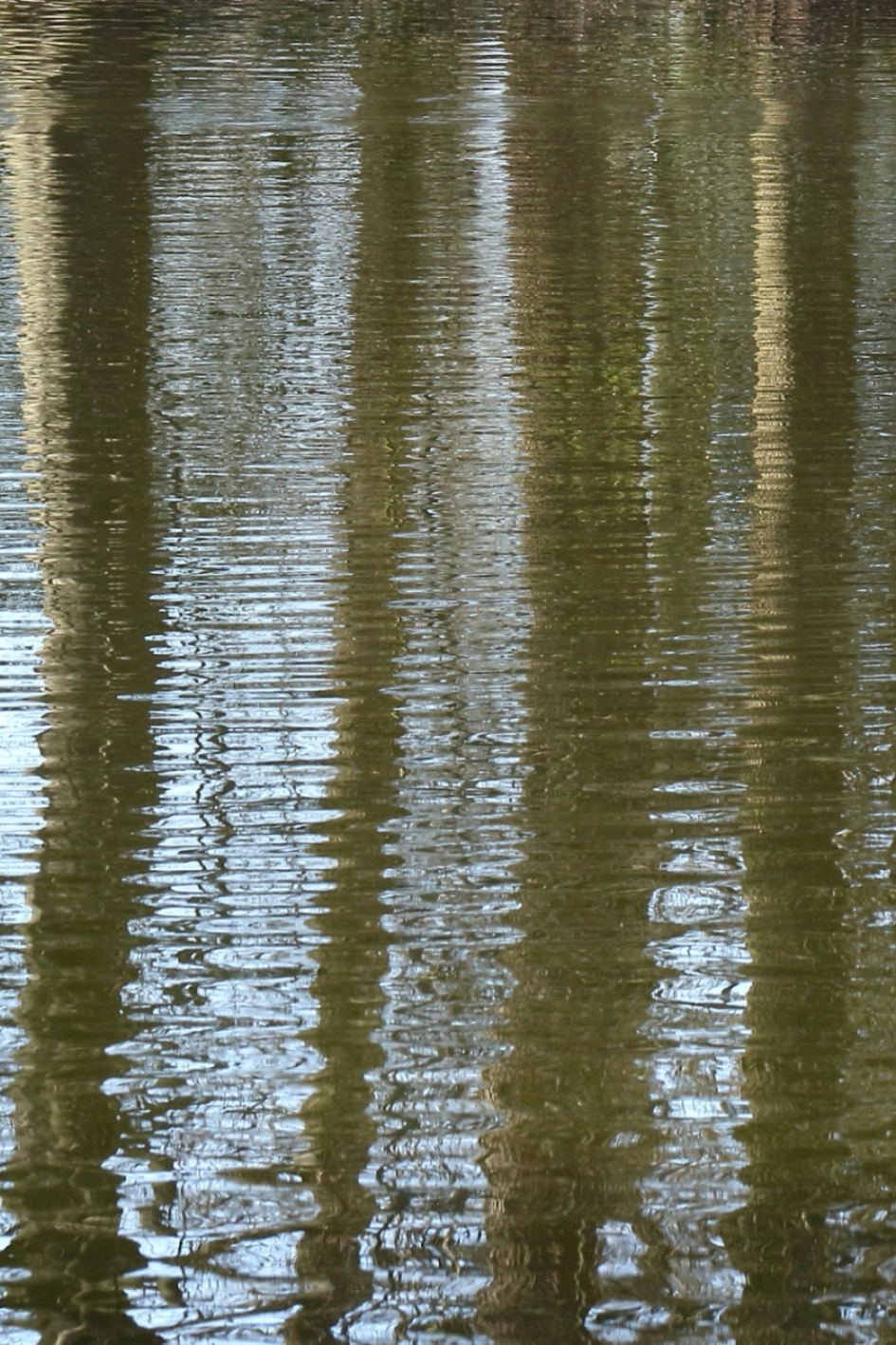 abstract - Weer en landschap - 